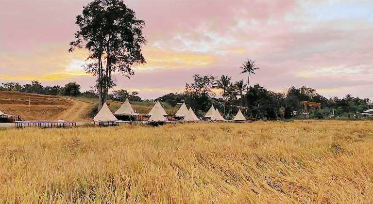 Casa Camp — photo 3