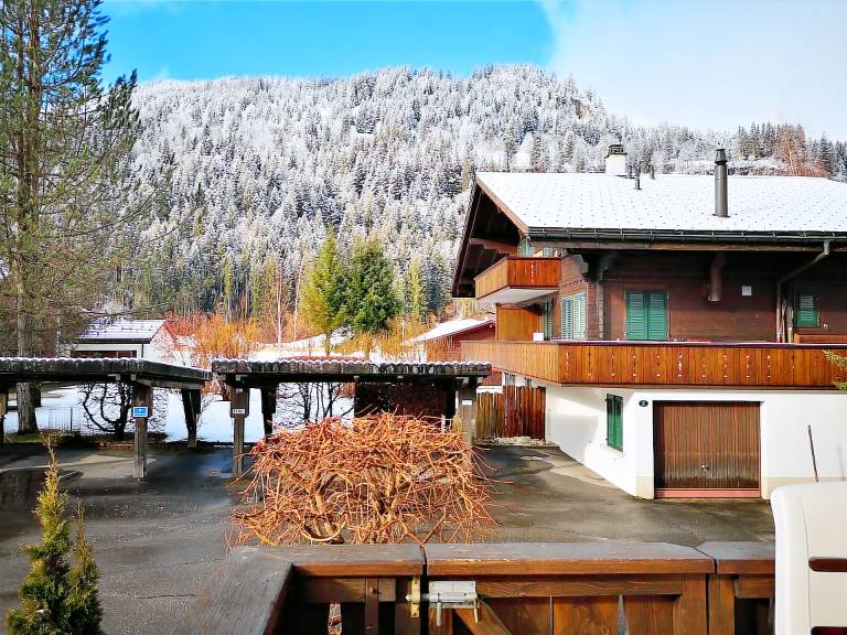 Ferienwohnung  Lenk