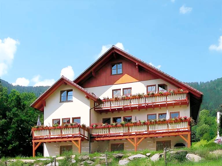 Appartement met hotelvoorzieningen Bad Kleinkirchheim
