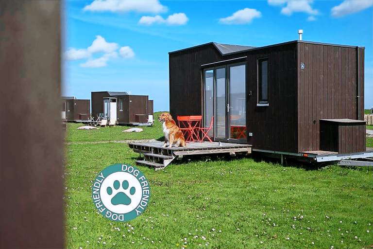 Nachhaltiger Urlaub mit Hund im Green Tiny House Nature 4 an der Nordsee — photo 2