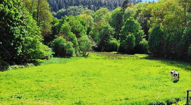Holiday apartment with 2 rooms for 5 persons in Altenahr