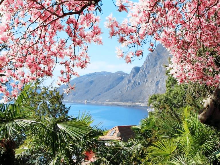 Ferienwohnung Ruvigliana