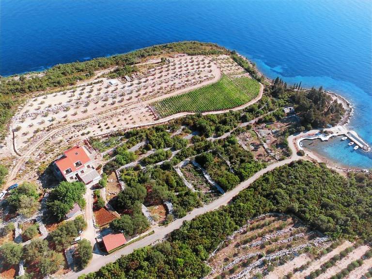 Apartman Pupnat