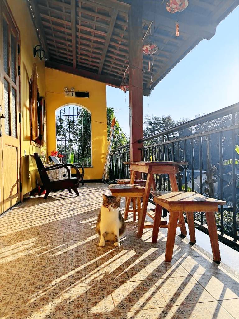 Vacation home with garden, pool & patio | Dogs allowed — photo 5