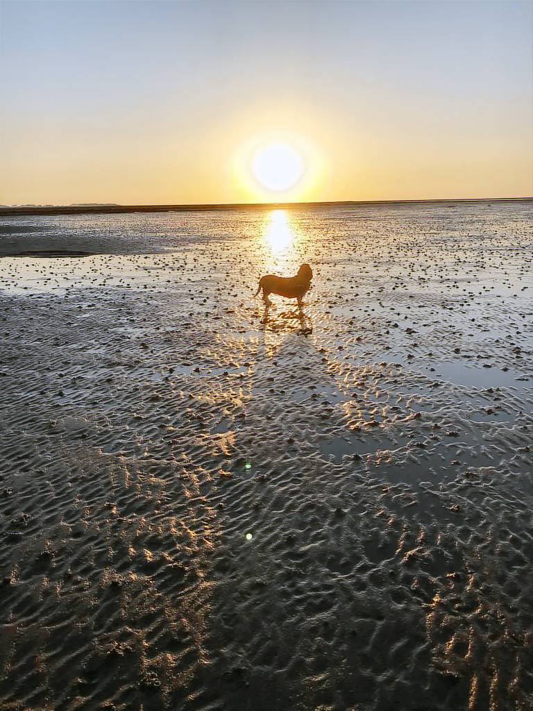 Cottage Blakeney