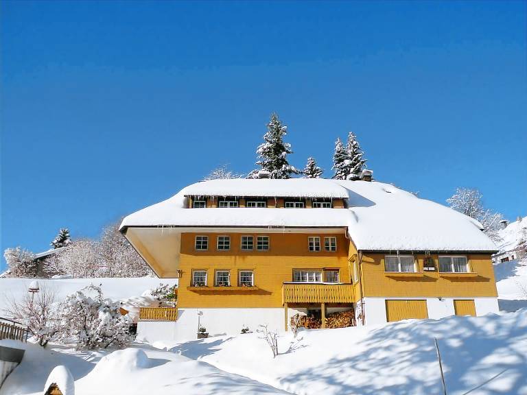 Ferienwohnung in Todtnauberg, Aftersteg für max. 10 Gäste Ferienwohnung in Todtnauberg, Aftersteg für max. 10 Gäste