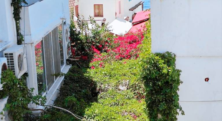The Cranberries Bodrum — photo 5