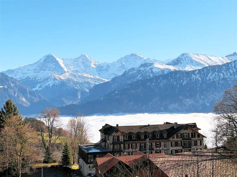 Ferienwohnung Beatenberg