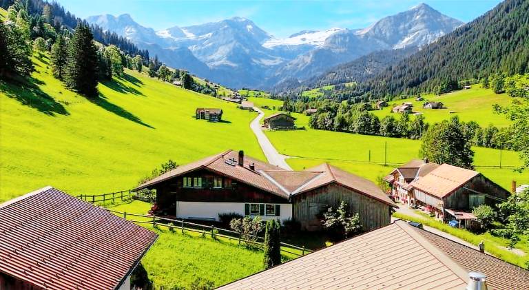 Chalet with pool — photo 5