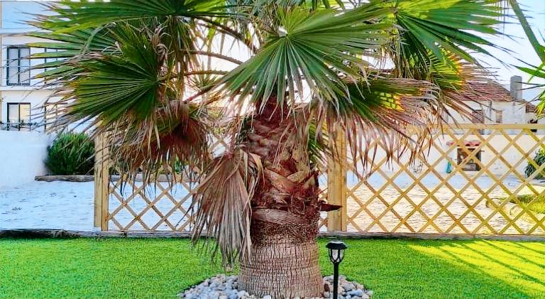Holiday apartment with 2 rooms for 4 persons — photo 4
