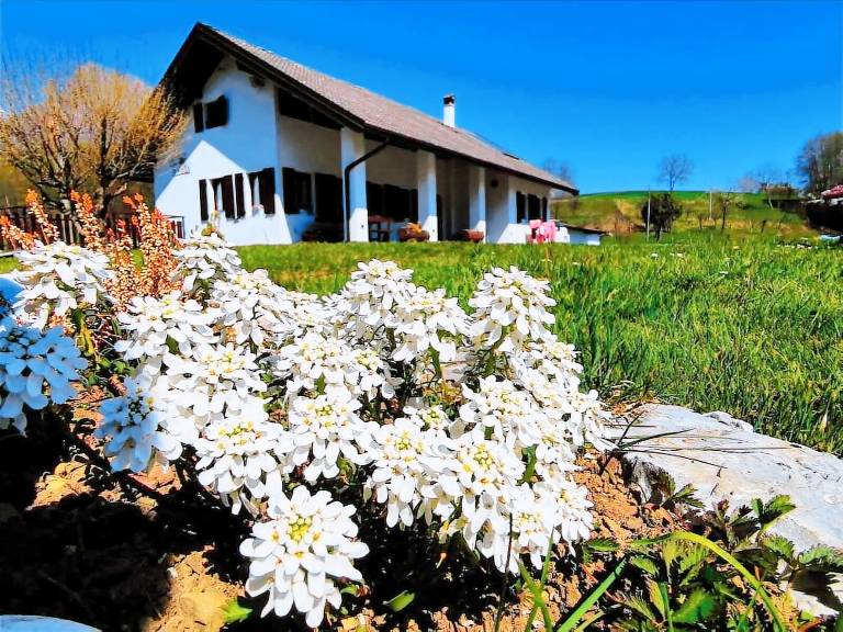 Casa  Feltre