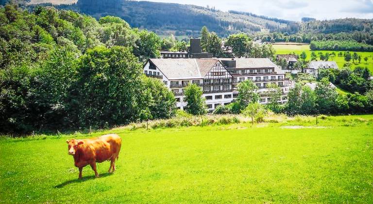 Sauerland Alpin Hotel — photo 5