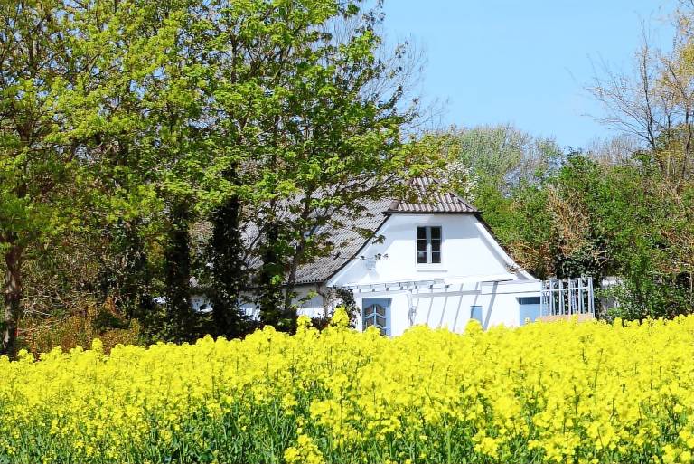 Sonnenschein