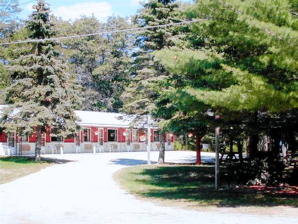 Woodland Motor Lodge — photo 4