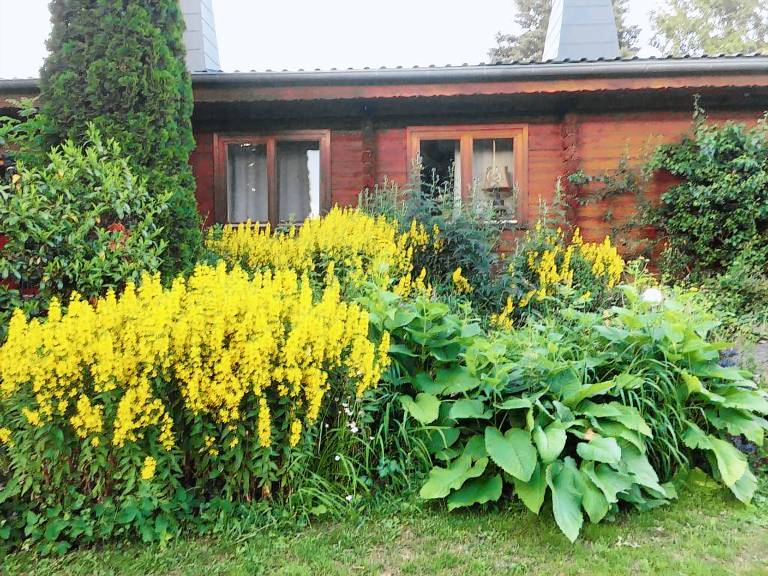 Ferienwohnung Edertal