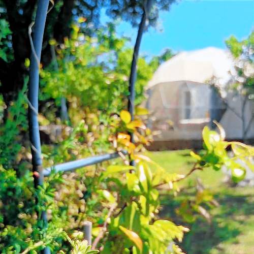 Tenda Manziana