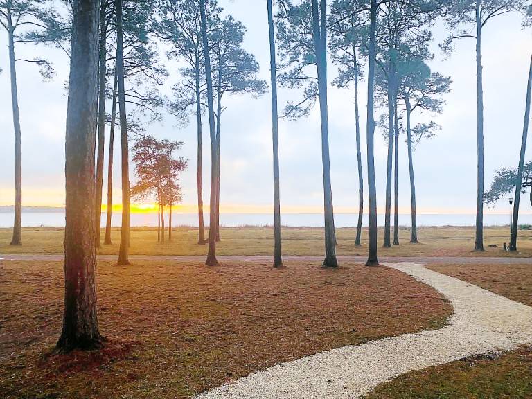 Cabin Daufuskie Island