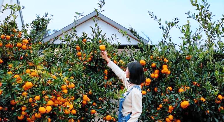 17 m&sup2; Bauernhof