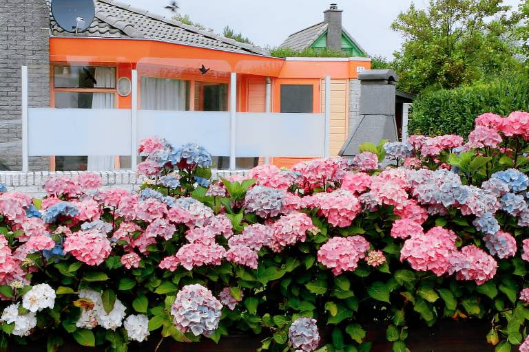 Ferienhaus Julianadorp