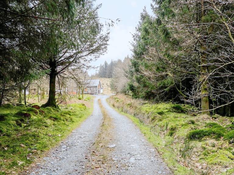 Cabin  Llanuwchllyn