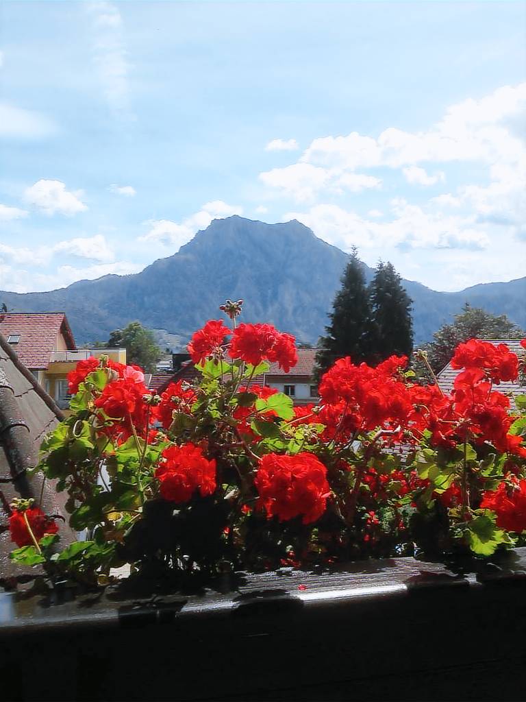 Ferienwohnung Altmünster am Traunsee