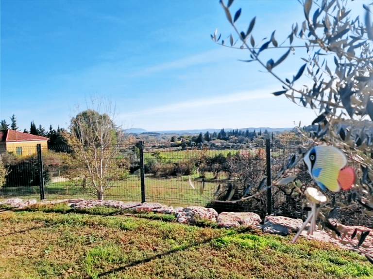 foto6
