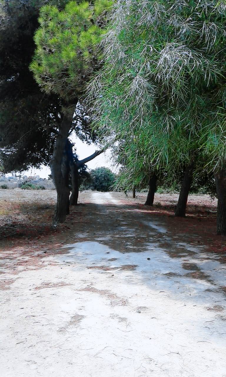 Appartamento Porto cesareo