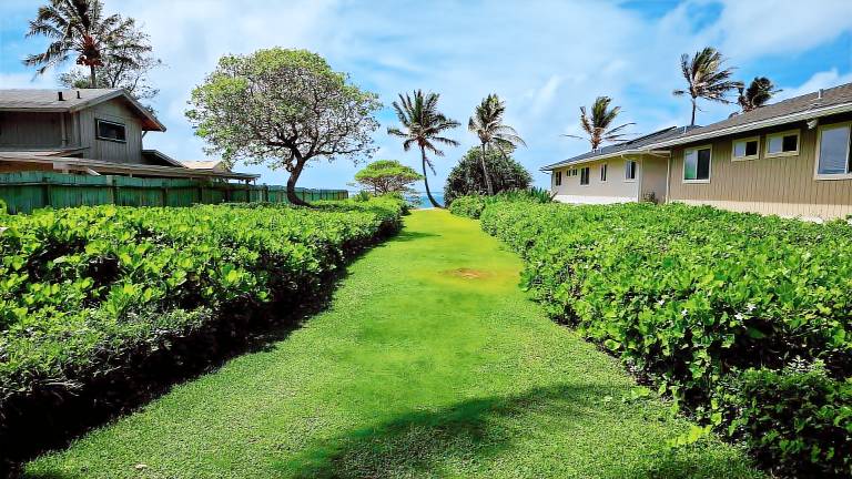 Ferienhaus Koolauloa