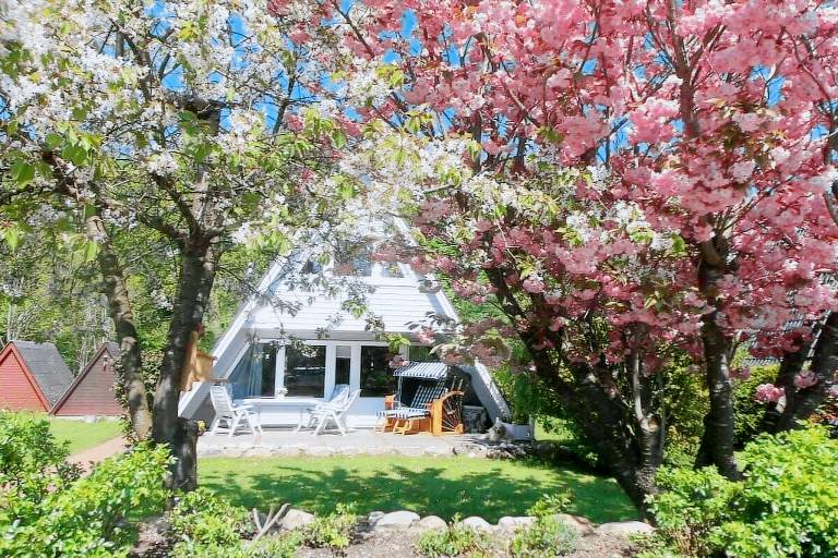 House with terrace, garden & barbecue — photo 4