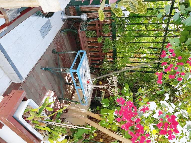 Apartment  Jerusalem