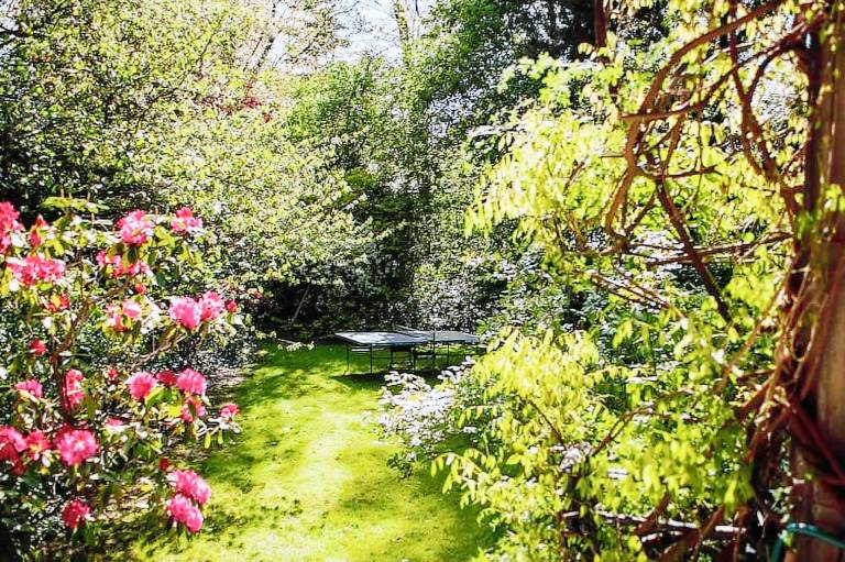 bed & breakfast  Ixelles