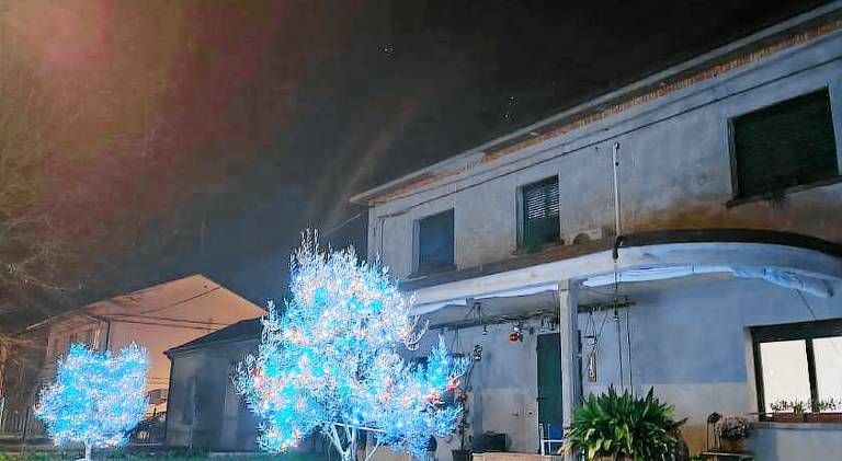 Agli Ulivi — photo 5