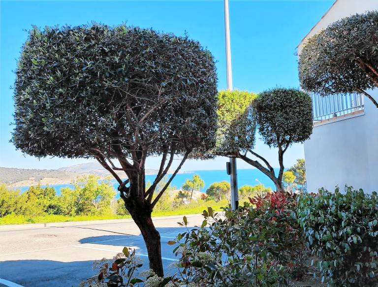 Appartement Banyuls-sur-Mer