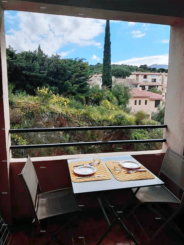 Rental apartment with pool in Collioure