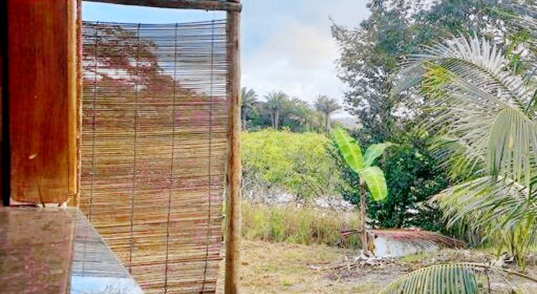 Casa no Mangue — photo 3