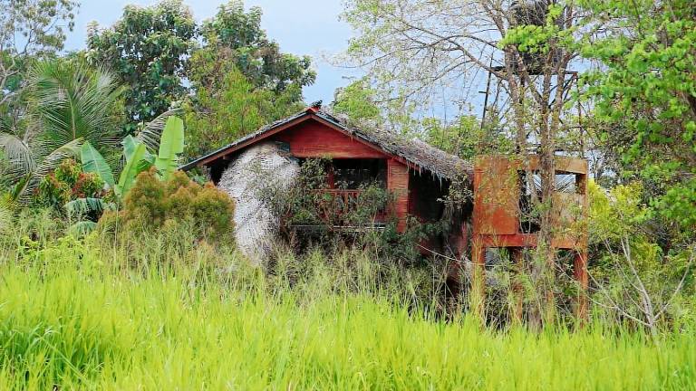 Vacation home | Pets allowed in Dambulla
