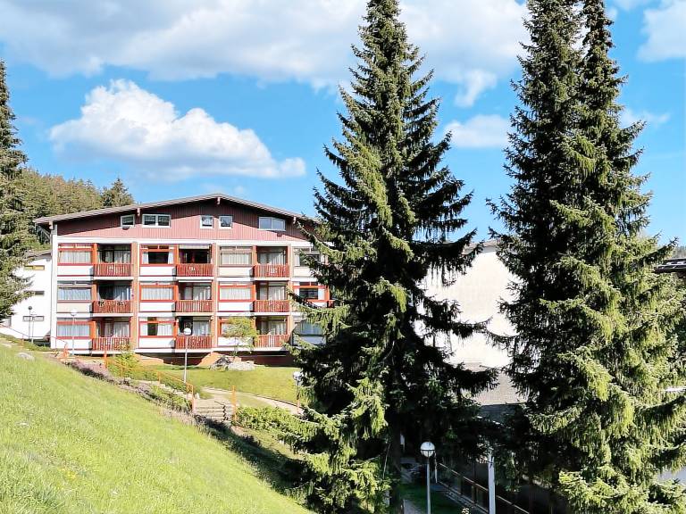 Ferienwohnung Schluchsee