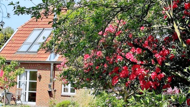 Ferienwohnung  Westerstede