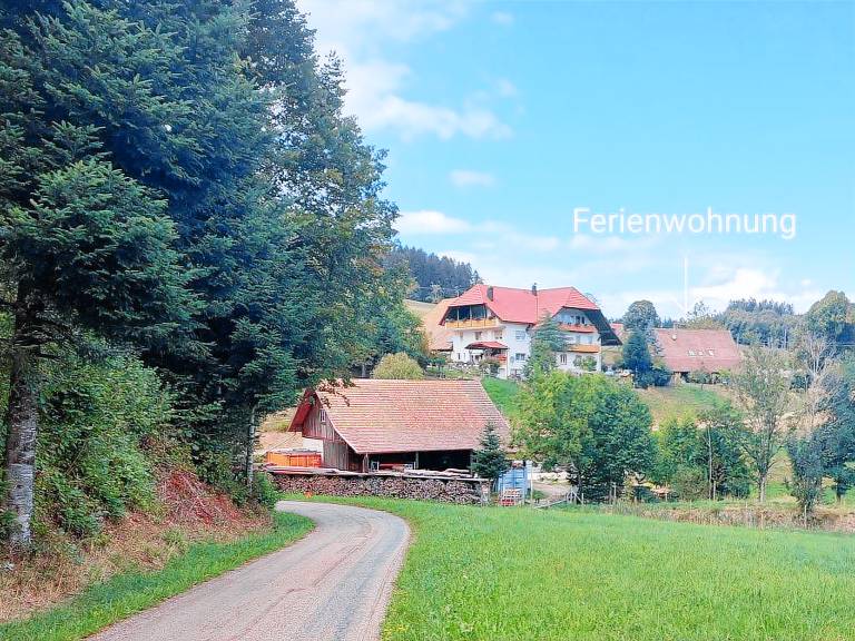 foto2