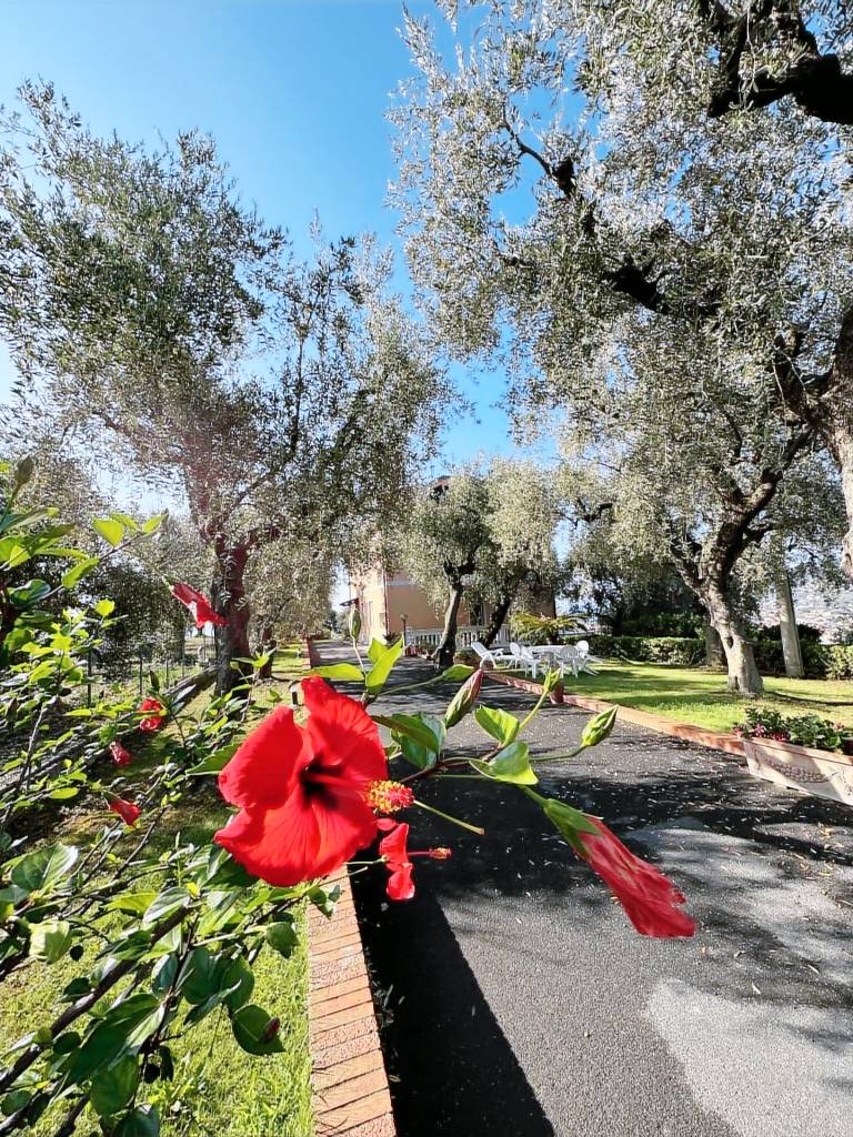 Bauernhof Diano Marina