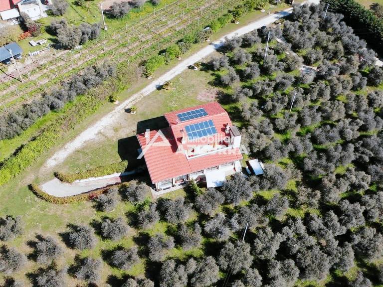 Fully equipped house with jacuzzi, garden & private pool | Pet-friendly — photo 2