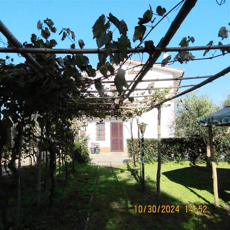 foto2