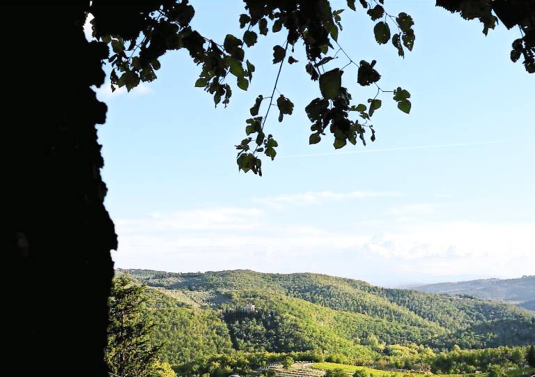 Herberg Lecchi in Chianti