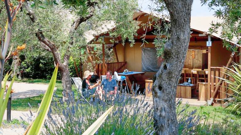Parco vacanze San felice del Benaco