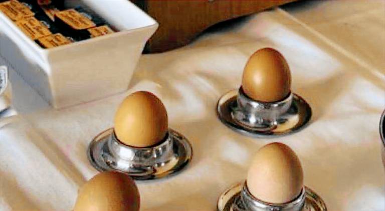 Landgasthof Rhonsicht — photo 4