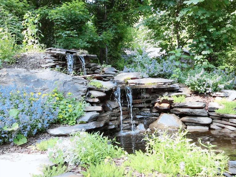 Cottage  Shady