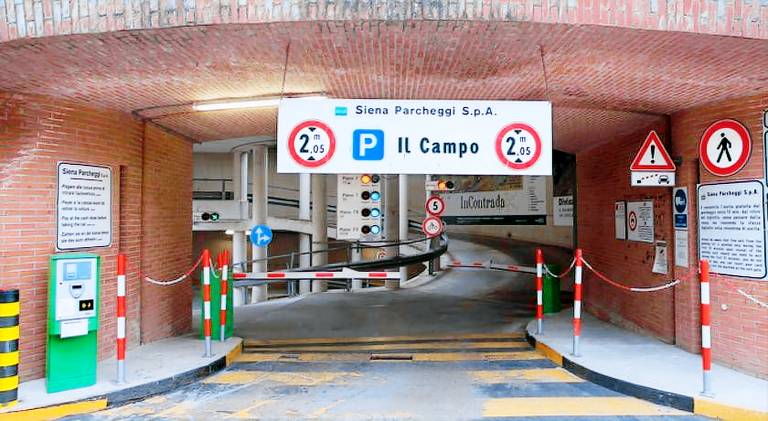 Apartment | Near Piazza del Campo | Pet-friendly — photo 4