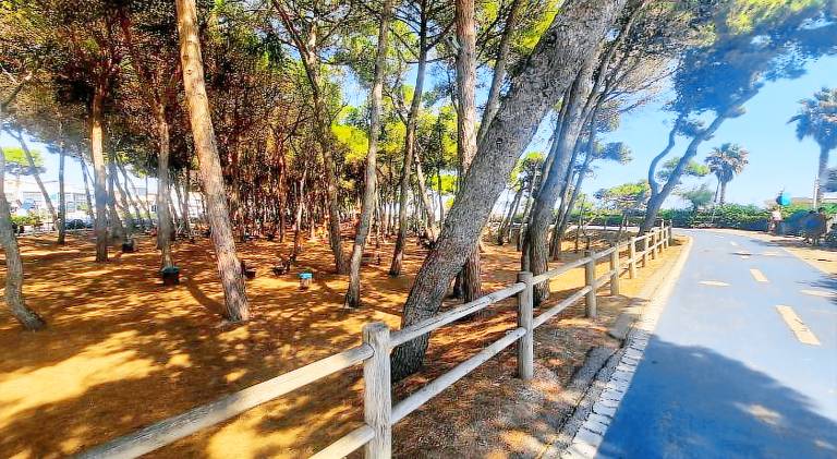 Holiday apartment | Beach nearby | Pets are welcome — photo 5