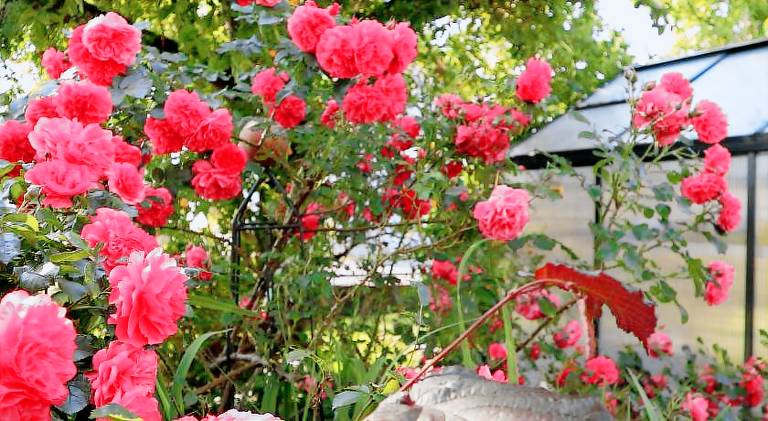 Pleasant apartment | Pets allowed in Feldkirch