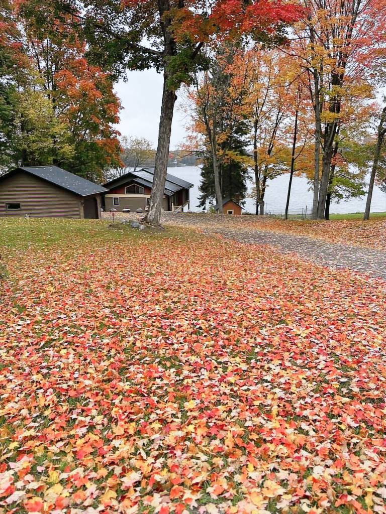 House Iron River